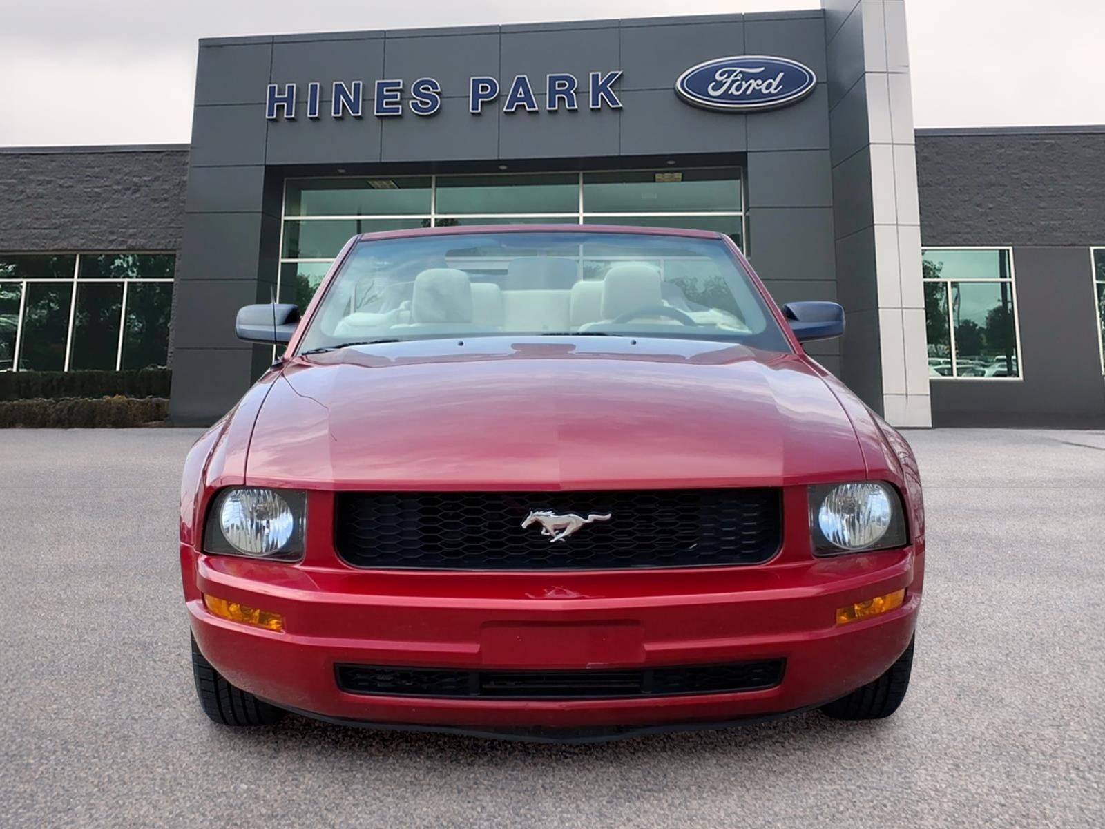 Used 2008 Ford Mustang Deluxe with VIN 1ZVHT84N585174785 for sale in New Hudson, MI