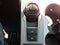 2024 Ford Bronco Sport AWD Big Bend 4dr SUV
