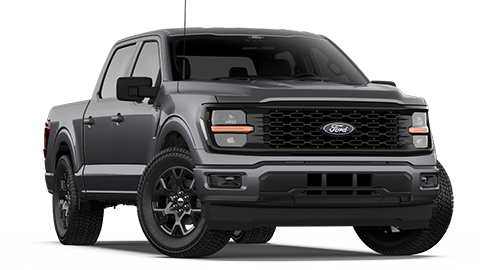 Hines Park Ford in New Hudson MI