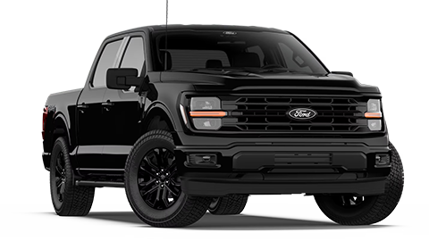 Hines Park Ford in New Hudson MI